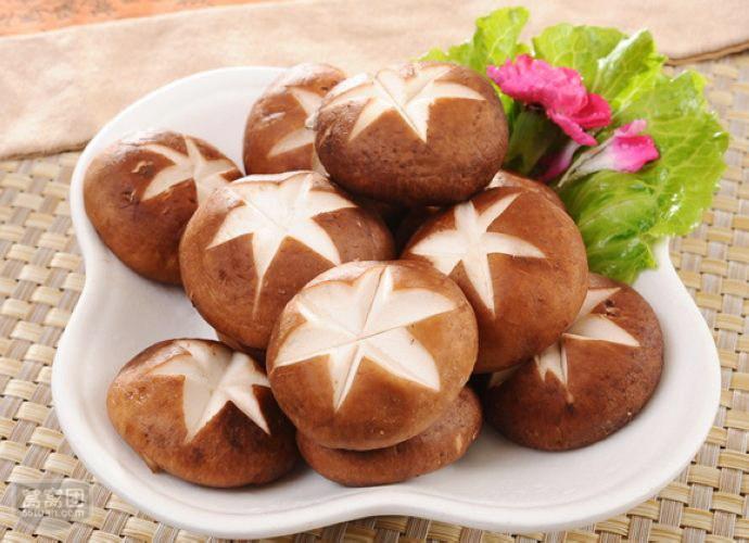 JDB����(�й���)���ٷ���վ