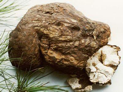 JDB����(�й���)���ٷ���վ